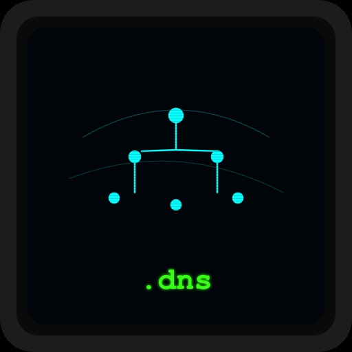 .dns